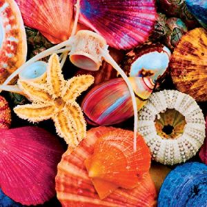 MasterPieces Brilliance Tidal Treasures - Seashells 550 Piece Jigsaw Puzzle