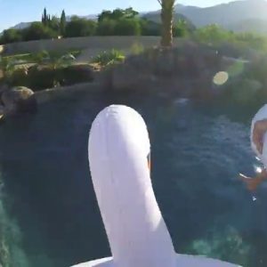 GoFloats Inflatable Swan Pool Float Party Tube, Float in Style (for Adults and Kids)