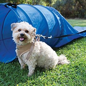 Pacific Play Tent Agility Dog Training Chute