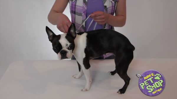 Rubies Costume Star Wars Collection Pet Costume, Princess Leia