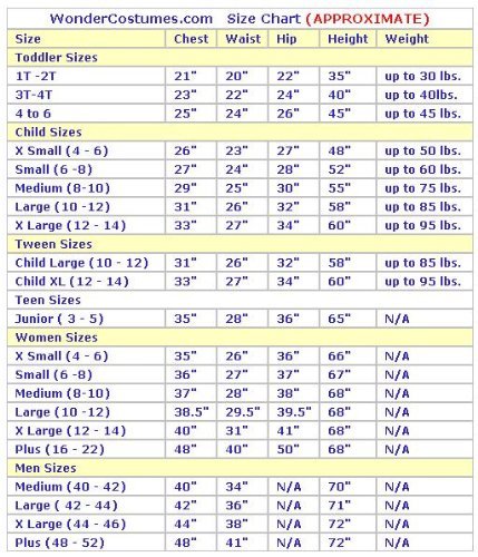 California Costumes Women's Classic Beauty Fairytale Princess Long Dress Gown
