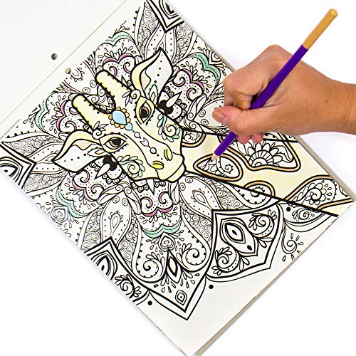Horizon Group USA Embossed Art Coloring Pad, 8 in. x 10 in, Multicolor