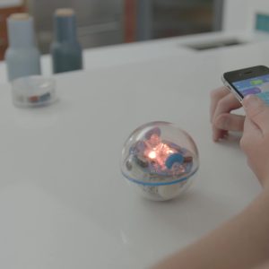 Sphero SPRK+: App-Enabled Robot Ball with Programmable Sensors + LED Lights - STEM Educational Toy for Kids - Learn JavaScript, Scratch & Swift