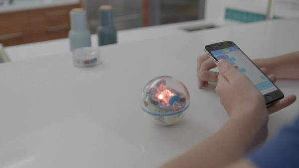 Sphero SPRK+: App-Enabled Robot Ball with Programmable Sensors + LED Lights - STEM Educational Toy for Kids - Learn JavaScript, Scratch & Swift